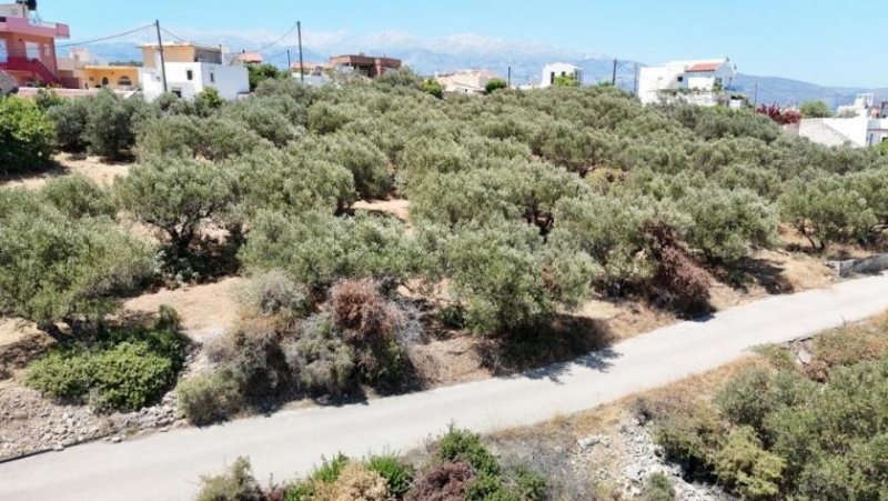 Plaka bei Chania MIT VIDEO: Kreta, Plaka: Erstklassige Grundstück in Plaka – Meerblick und zentrale Lage Grundstück kaufen